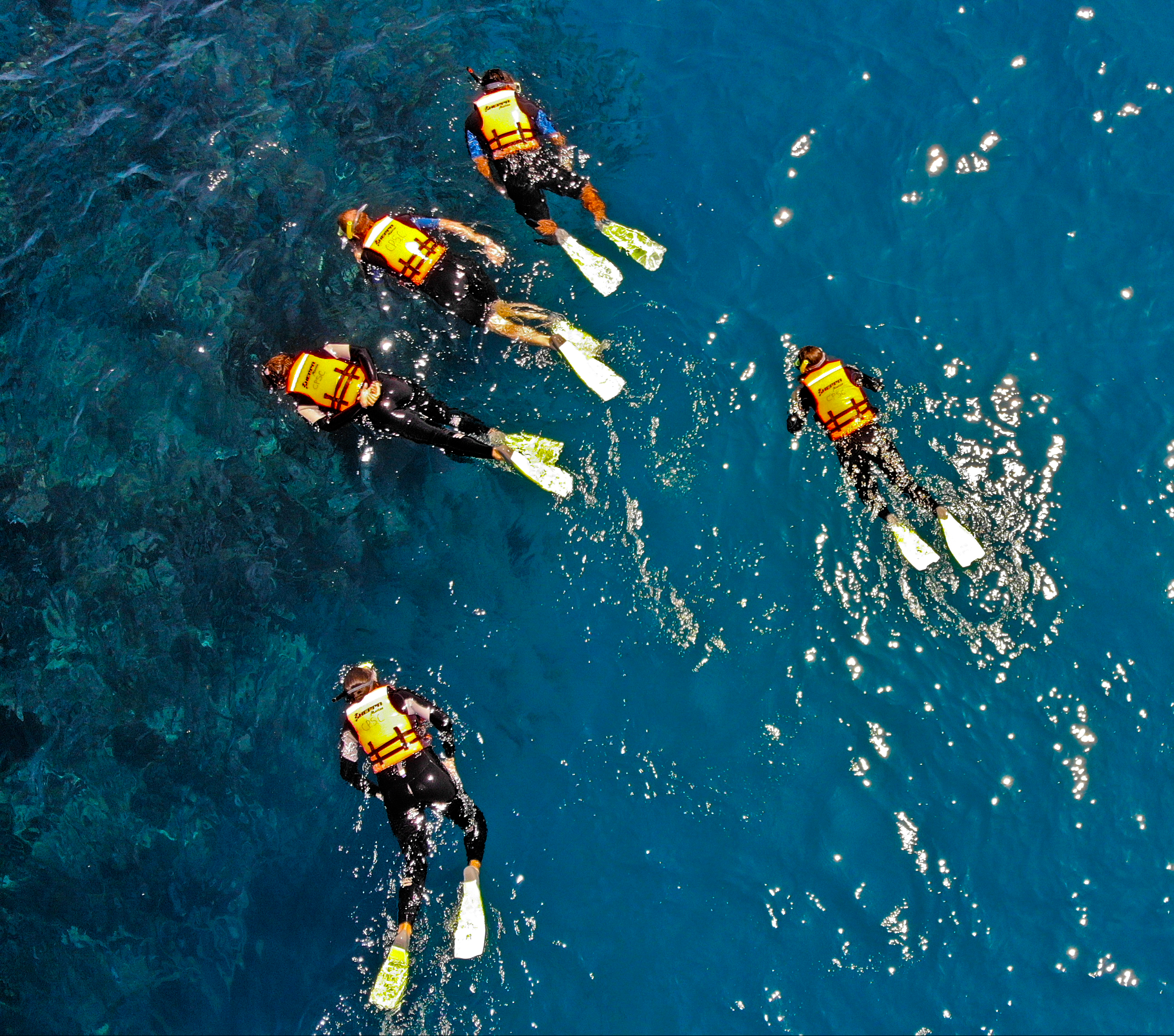 snorkeling